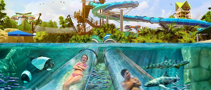 Everything You Need To Know About Aquatica Orlando